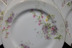 BAWO & DOTTER PURPLE ASTER & YELLOW/ PINK FLOWERS-SALAD PLATE  7 5 /8" ..... http://jaapiesfinechinastore.com