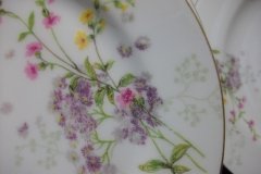 BAWO & DOTTER PURPLE ASTER & YELLOW/ PINK FLOWERS-SALAD PLATE  7 5 /8" ..... http://jaapiesfinechinastore.com