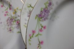 BAWO & DOTTER PURPLE ASTER & YELLOW/ PINK FLOWERS-SALAD PLATE  7 5 /8" ..... http://jaapiesfinechinastore.com