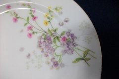 BAWO & DOTTER PURPLE ASTER & YELLOW/ PINK FLOWERS-SALAD PLATE  7 5 /8" ..... http://jaapiesfinechinastore.com