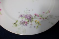 BAWO & DOTTER PURPLE ASTER & YELLOW/ PINK FLOWERS-SALAD PLATE  7 5 /8" ..... http://jaapiesfinechinastore.com