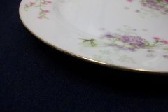 BAWO & DOTTER PURPLE ASTER & YELLOW/ PINK FLOWERS-SALAD PLATE  7 5 /8" ..... http://jaapiesfinechinastore.com