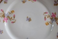 BAWO & DOTTER (ELITE WORKS) SCATTERED FLOWERS-  BREAD & BUTTER PLATE ..... http://jaapiesfinechinastore.com