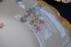 BAWO & DOTTER  (ELITE WORKS) SCATTERED FLOWERS-  COUPE SOUP BOWL   .....   http://jaapiesfinechinastore.com