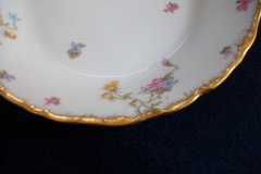BAWO & DOTTER  (ELITE WORKS) SCATTERED FLOWERS-  COUPE SOUP BOWL   .....   http://jaapiesfinechinastore.com