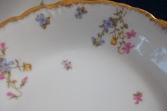 BAWO & DOTTER  (ELITE WORKS) SCATTERED FLOWERS-  COUPE SOUP BOWL   .....   http://jaapiesfinechinastore.com