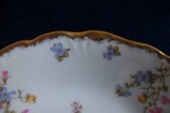 BAWO & DOTTER  (ELITE WORKS) SCATTERED FLOWERS-  COUPE SOUP BOWL   .....   http://jaapiesfinechinastore.com