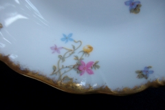 BAWO & DOTTER  (ELITE WORKS) SCATTERED FLOWERS-  COUPE SOUP BOWL   .....   https://www.jaapiesfinechinastore.com