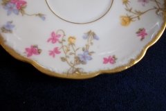 BAWO & DOTTER (ELITE WORKS) SCATTERED FLOWERS- CUP & SAUCER   .....   http://jaapiesfinechinastore.com