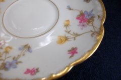 BAWO & DOTTER (ELITE WORKS) SCATTERED FLOWERS- CUP & SAUCER   .....   http://jaapiesfinechinastore.com