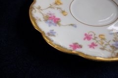 BAWO & DOTTER (ELITE WORKS) SCATTERED FLOWERS- CUP & SAUCER   .....   http://jaapiesfinechinastore.com