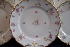 BAWO & DOTTER SCATTERED FLOWERS- DINNER PLATE   .....   http://jaapiesfinechinastore.com
