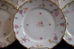 BAWO & DOTTER SCATTERED FLOWERS- DINNER PLATE   .....   https://www.jaapiesfinechinastore.com