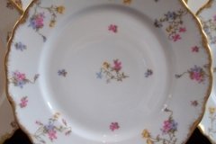 BAWO & DOTTER SCATTERED FLOWERS- DINNER PLATE   .....   http://jaapiesfinechinastore.com