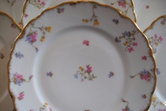 BAWO & DOTTER SCATTERED FLOWERS- DINNER PLATE   .....   https://www.jaapiesfinechinastore.com