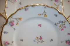 BAWO & DOTTER SCATTERED FLOWERS- DINNER PLATE   .....   http://jaapiesfinechinastore.com