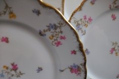 BAWO & DOTTER SCATTERED FLOWERS- DINNER PLATE   .....   http://jaapiesfinechinastore.com