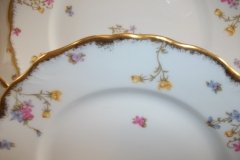 BAWO & DOTTER SCATTERED FLOWERS- DINNER PLATE   .....   http://jaapiesfinechinastore.com