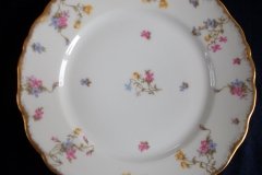 BAWO & DOTTER SCATTERED FLOWERS- DINNER PLATE   .....   http://jaapiesfinechinastore.com