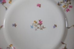 BAWO & DOTTER SCATTERED FLOWERS- DINNER PLATE   .....   http://jaapiesfinechinastore.com