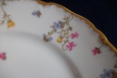 BAWO & DOTTER SCATTERED FLOWERS- DINNER PLATE   .....   http://jaapiesfinechinastore.com