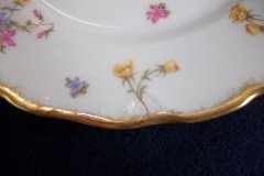 BAWO & DOTTER SCATTERED FLOWERS- DINNER PLATE   .....   http://jaapiesfinechinastore.com