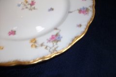 BAWO & DOTTER SCATTERED FLOWERS- DINNER PLATE   .....   http://jaapiesfinechinastore.com