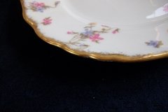 BAWO & DOTTER SCATTERED FLOWERS- DINNER PLATE   .....   http://jaapiesfinechinastore.com