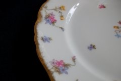 BAWO & DOTTER SCATTERED FLOWERS- DINNER PLATE   .....   http://jaapiesfinechinastore.com