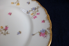 BAWO & DOTTER SCATTERED FLOWERS- DINNER PLATE   .....   https://www.jaapiesfinechinastore.com