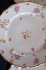BAWO & DOTTER SCATTERED FLOWERS- LUNCH PLATE