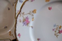 BAWO & DOTTER SCATTERED FLOWERS- LUNCH PLATE
