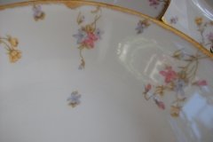 BAWO & DOTTER  (ELITE WORKS) SCATTERED FLOWERS- OPEN SERVING BOWL 9 3/8" .....   http://jaapiesfinechinastore.com
