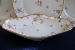 BAWO & DOTTER (ELITE WORKS) SCATTERED FLOWERS- RELISH  DISH  .....   http://jaapiesfinechinastore.com