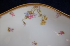 BAWO & DOTTER (ELITE WORKS) SCATTERED FLOWERS- RELISH  DISH  .....   http://jaapiesfinechinastore.com