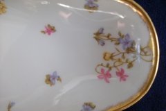 BAWO & DOTTER (ELITE WORKS) SCATTERED FLOWERS- RELISH  DISH  .....   http://jaapiesfinechinastore.com