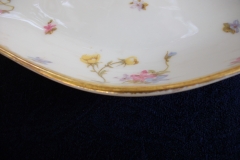 BAWO & DOTTER (ELITE WORKS) SCATTERED FLOWERS- RELISH  DISH  .....   https://www.jaapiesfinechinastore.com