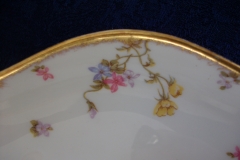 BAWO & DOTTER (ELITE WORKS) SCATTERED FLOWERS- RELISH  DISH  .....   https://www.jaapiesfinechinastore.com