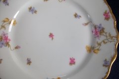 BAWO & DOTTER (ELITE WORKS) SCATTERED FLOWERS- SALAD  PLATE ..... http://jaapiesfinechinastore.com