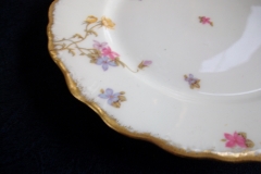 BAWO & DOTTER (ELITE WORKS) SCATTERED FLOWERS- SALAD  PLATE ..... https://www.jaapiesfinechinastore.com