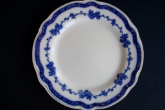 BISHOP & STONIER- (BOSCOBEL) BELLE VUE- DINNER PLATE.....   https://www.jaapiesfinechinastore.com