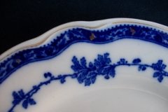 BISHOP & STONIER- (BOSCOBEL) BELLE VUE- DINNER PLATE.....   http://jaapiesfinechinastore.com