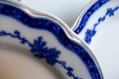 BISHOP & STONIER- (BOSCOBEL) BELLE VUE- DINNER PLATE.....   http://jaapiesfinechinastore.com