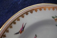 BOOTHS 8477 FLORAL & GARDEN INSECTS- BREAD & BUTTER PLATE  .....   http://jaapiesfinechinastore.com