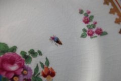BOOTHS 8477 FLORAL & GARDEN INSECTS- BREAD & BUTTER PLATE  .....   http://jaapiesfinechinastore.com