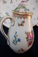 BOOTHS 8477 FLORAL & GARDEN INSECTS- COVERED PITCHER/JUG  .....   http://jaapiesfinechinastore.com