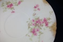 CHARLES FIELD HAVILAND/GDA WILD GERANIUM PINK-  CUP & SAUCER     .....   http://jaapiesfinechinastore.com