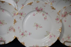 CHARLES FIELD HAVILAND/GDA WILD GERANIUM PINK- DINNER PLATE RAISED DAUBS  ..... https://www.jaapiesfinechinastore.com