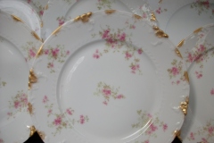 CHARLES FIELD HAVILAND/GDA WILD GERANIUM PINK- DINNER PLATE RAISED DAUBS  ..... https://www.jaapiesfinechinastore.com