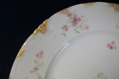 CHARLES FIELD HAVILAND/GDA WILD GERANIUM PINK- DINNER PLATE RAISED DAUBS  ..... https://www.jaapiesfinechinastore.com